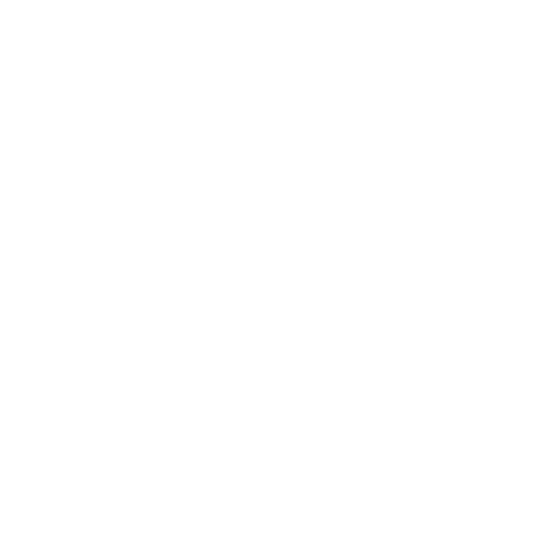 digestion